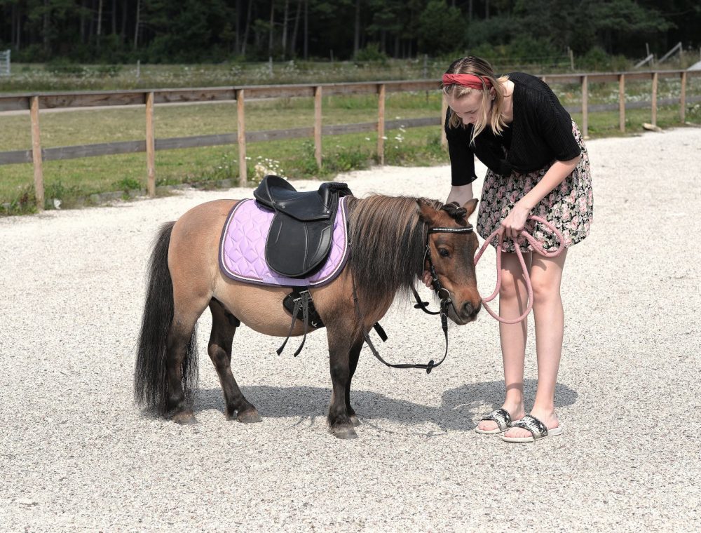 GotlandsDjurpark-Gotland-Eskelhem-Ponnyridning